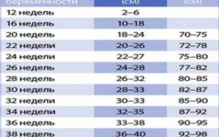 Обхват живота при беременности по неделям норма таблица калькулятор