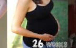 Фото животиков 25 26 недели беременности