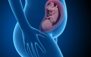 36 Неделя беременности форум 2016