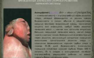 Формирование нервной трубки у плода на каком сроке