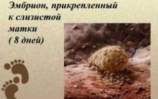Как понять что эмбрион прикрепился к матке симптомы