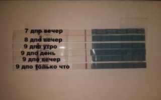 10 дпо тест отрицательный есть ли шанс на беременность