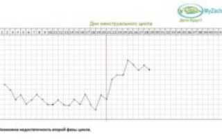 19 день цикла признаки беременности при 30 дневном цикле