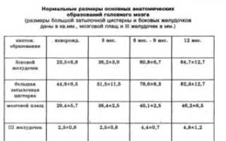 Боковые желудочки мозга норма у плода таблица по неделям