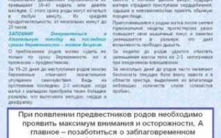 Отошла пробка через сколько начнутся роды у первородящих 40 недель