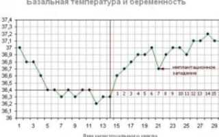 Беременность на 7 день цикла при 28 дневном цикле