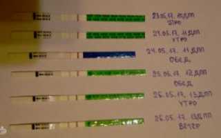 Задержка тянет низ живота форум