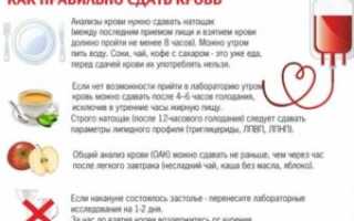 Можно ли пить воду перед сдачей общего анализа мочи