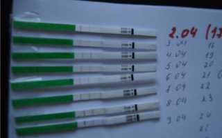 Овуляция при цикле 32 дня когда овуляция