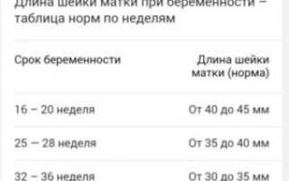 Длина шейки матки норма в 37 недель