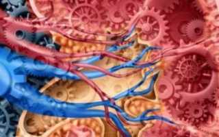 Диагноз хпн что это такое