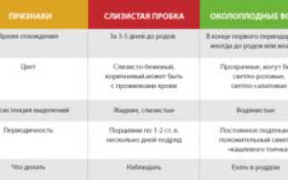 Слизистая пробка когда формируется при беременности