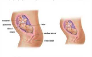 27 Неделя беременности от зачатия