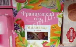 Мармелад при грудном вскармливании в первый месяц