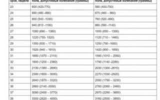 Сколько Весит Ребенок На 25 Неделе Беременности