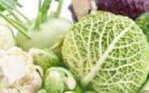 Белокочанная Капуста При Беременности Польза И Вред
