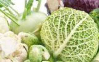 Белокочанная Капуста При Беременности Польза И Вред