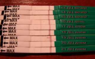 Тест На Беременность Делать Утром Или Вечером