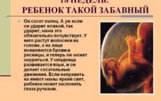 Беременность 17 18 недель развитие плода
