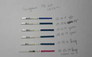 Перед сдачей хгч можно ли пить воду