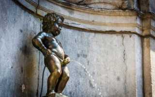 Детская урология в Москве — лучшие специалисты по выгодным ценам