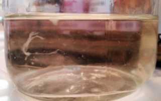 Хлопья в водах при беременности