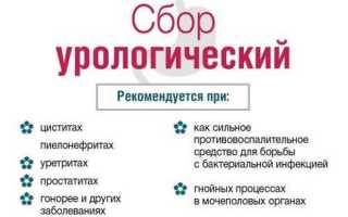 Урологический травяной чай при цистите