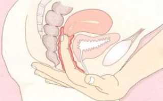 Как нащупать матку при беременности в домашних условиях