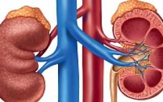Мочеполовая инфекция у детей симптомы причины лечение