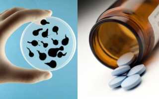 Сколько дней пить азитромицин — parazit24