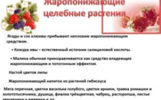 Как сбить температуру при беременности 2 триместр при простуде