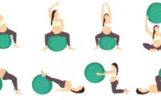 Фитбол Упражнения Для Беременных 2 Триместр