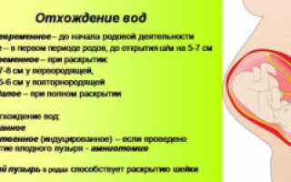 Схватки идут а воды не отходят воды