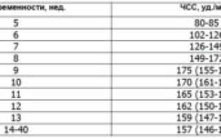 Норма сердцебиение плода на 36 неделе беременности