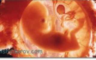 Озноб на 9 неделе беременности