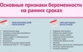 Кто болел во время беременности на ранних сроках