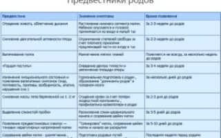 Отошла пробка когда начнутся роды вторая беременность 40 недель