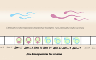 В овуляцию не получается забеременеть