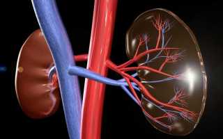 Почечное давление симптомы и лечение народными средствами