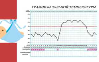 Базальная температура после переноса эмбриона после эко