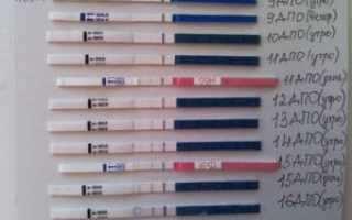 На 6 день после овуляции тест может показать беременность