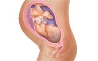 Шевеления плода на 35 36 неделе