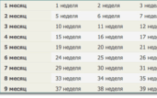 26 Недель и 2 дня беременности