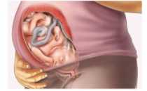 40 Неделя беременности малыш очень активный