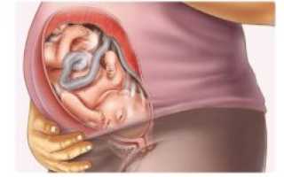 40 Неделя беременности малыш очень активный