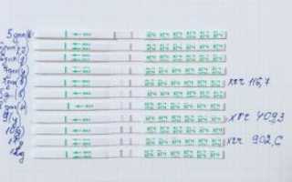 Когда сдавать хгч после переноса 5 дневок