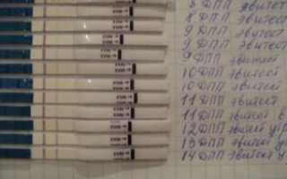 Тесты на беременность после переноса эмбрионов фото