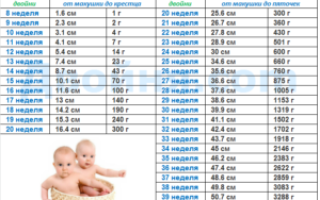 Вес Двойни По Неделям Беременности Таблица Норма