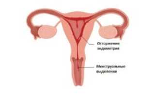 Месячные в 55 лет это хорошо или плохо