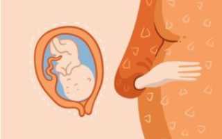 Шевеление двойни 23 неделе